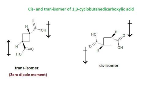 Draw cis and trans- isomers of 1,3-cyclobutanedicarboxylic acid ...