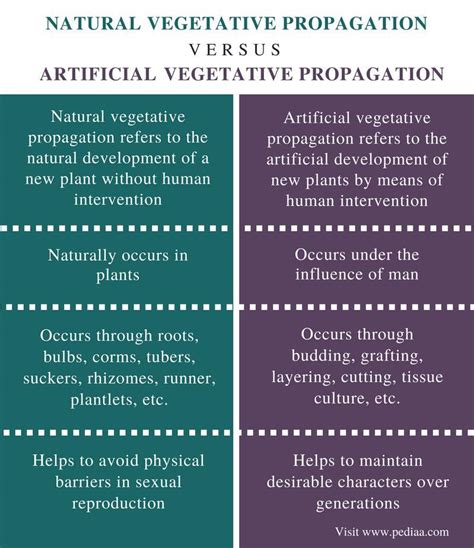 difference between vegetative propagation and propagation by seed ...