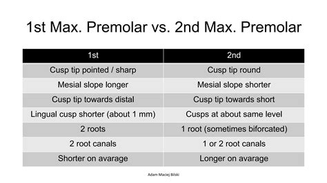 2nd Upper Premolar Anatomy | PPTX