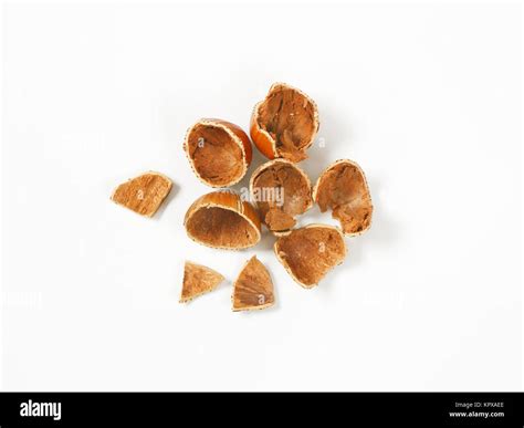 Image result for Empty Hazelnut Shell