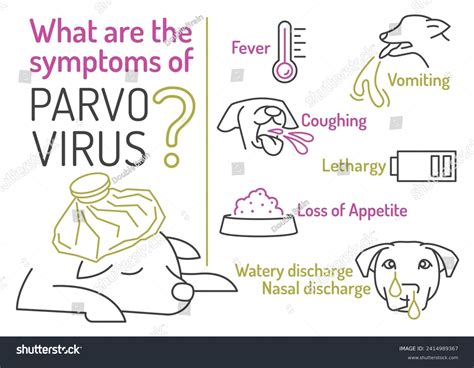 Parvo Viruses: Over 40 Royalty-Free Licensable Stock Illustrations & Drawings | Shutterstock
