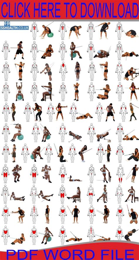 Chest Expander Workout Course 的图像结果