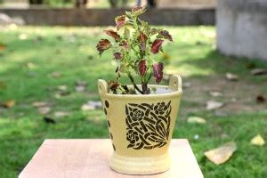 Lyallpur Stores Plant Container Set, Ceramic Planter Pot Yellow Color ...