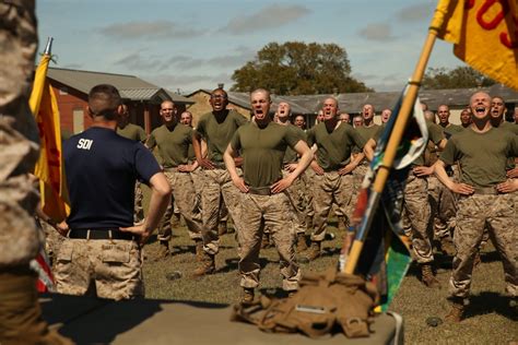 Image result for Parris Island Obstacle Course