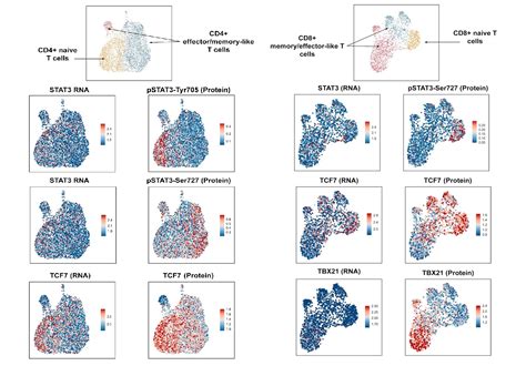 Signaling Data 的图像结果