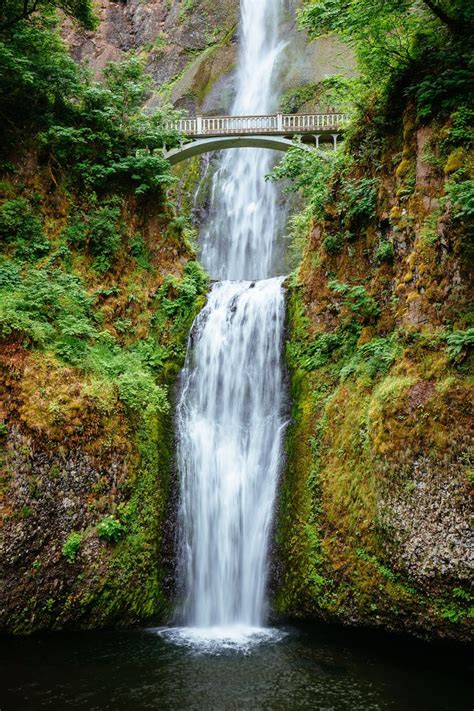 Image result for Sony A7 Shutter Button Problem How to Fix