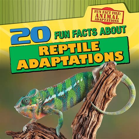 Buy 20 Fun Facts About Reptile Adaptations (Fun Fact File: Animal ...