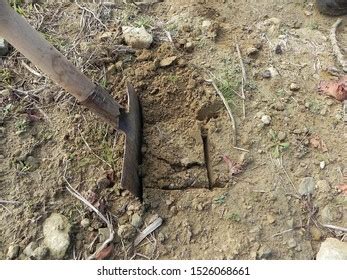 Image result for Soil Collection