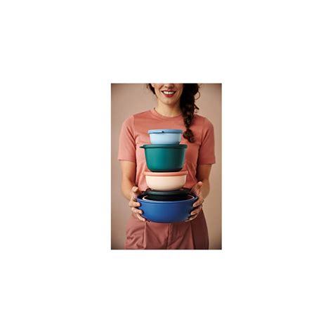 Buy Rosti Mepal Cirqula Multi Food Storage and Serving Bowl with Lid ...