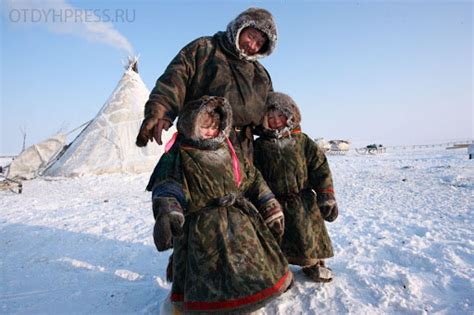 Ненцы народ традиции и обычаи кратко