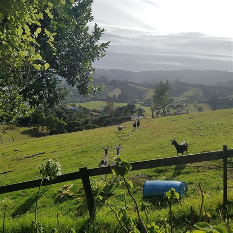 KAEPPELI'S KUAOTUNU - RAWHITI COTTAGE - B&B Reviews & Photos (Whitianga ...