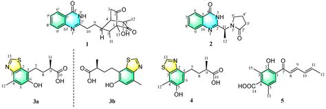 Heterocycles and a Sorbicillinoid from the Coral-Derived Fungus ...