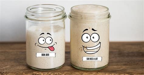 200+ Best Sourdough Starter Name Ideas - The Pantry Mama