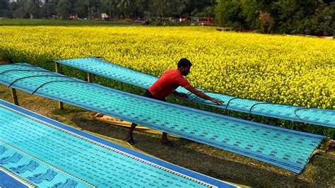 Everything you need to know about the Bengal cotton handloom tant sari ...