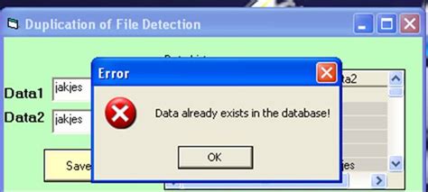 Data Duplication Problem 的图像结果