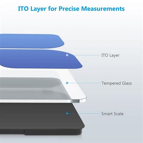 Image result for Scale Bar Microscope