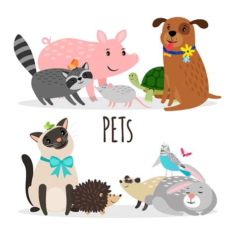 Cartoon Network Pets 的图像结果