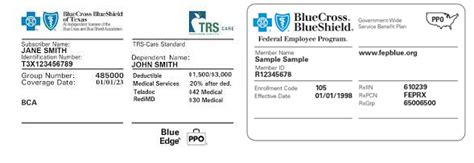 Image result for HMO Insurance Card Examples