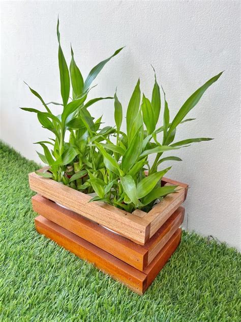 Wooden Plant Pot (Planter), Pot for Indoor Outdoor Plants, Wooden and ...