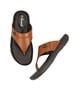 Buy Beige Flip Flop & Slippers for Men by shences Online | Ajio.com