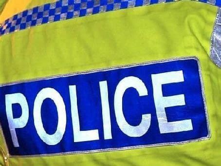 Image result for Peppa Pig Explodes