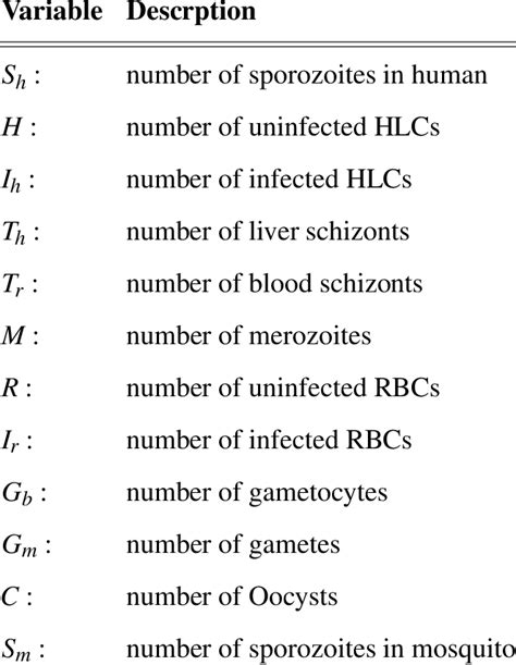 State Variables 的图像结果