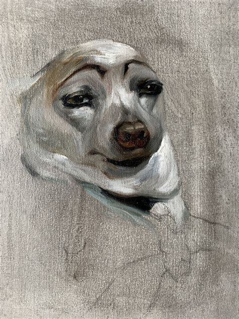 Dogs With Eyebrows Drawn On