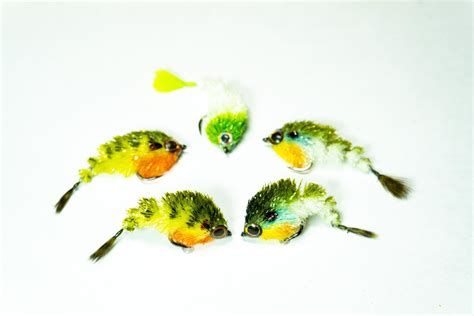 GameChanger Fly Pattern 的图像结果