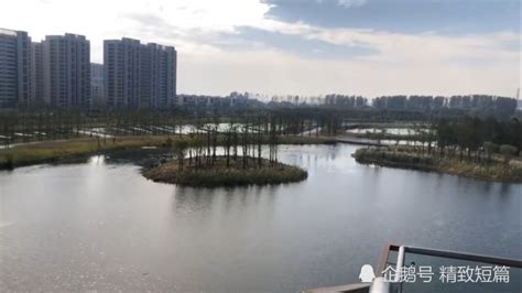 郑州这个雨水口为啥向龙子湖内排污水？_大豫网_腾讯网