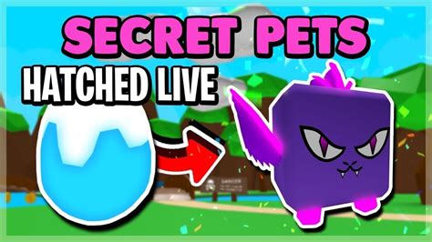 Bubble Gum Simulator Script Secret Pets 的图像结果