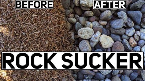 How to Clean Garden Rocks 的图像结果