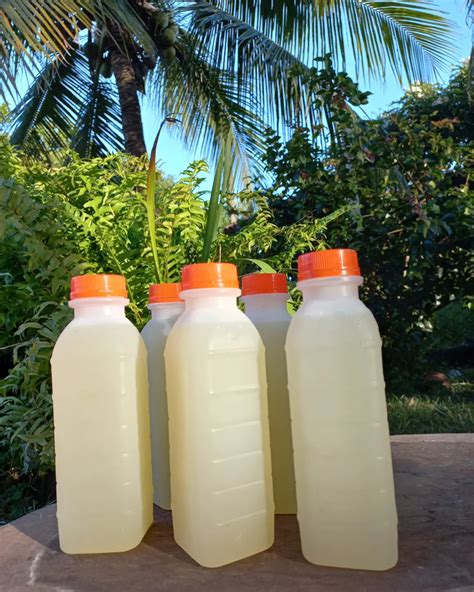 Meladinha (@_meladinha_) • Instagram photos and videos