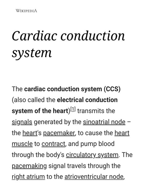 Image result for Cardiac Conduction System Disorders
