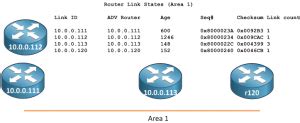 Image result for IP Ospf Database Contents Explained