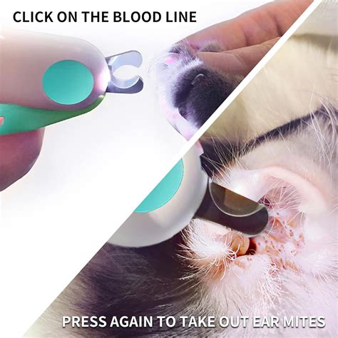 Buy Pet Dog Cat Nail Clippers, Dog Nail Trimmers for Small Animals with ...