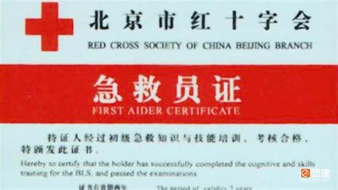 急救培训-红十字会专业培训-上海闯越企业管理咨询有限公司