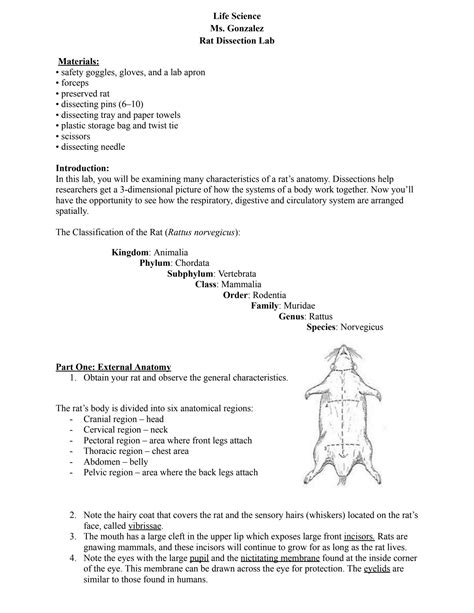 Rat Dissection Worksheet Answer Key at Jeramy Phillip blog