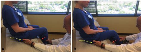 Image result for Hamstring Test