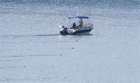 Image result for Trolling for Fish