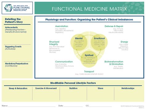 What is Functional Medicine? — Cantor Adkins Functional Medicine
