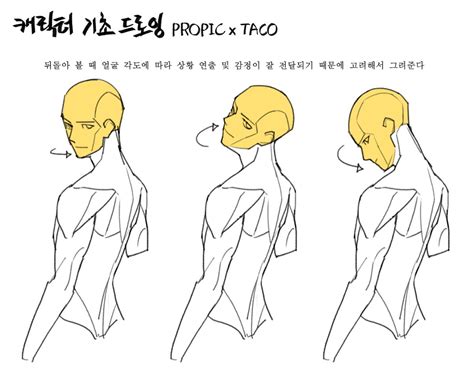 Side View Reference 的图像结果