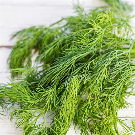 Best Dill Substitute (13 Amazingly Easy To Use Alternatives For Cooking!)