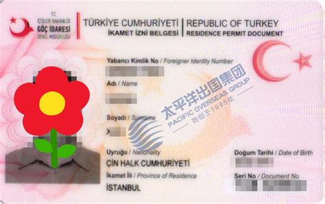 土耳其签证有效期多少（旅游必知土耳其电子签证最新秒出全攻略） - 科猫网