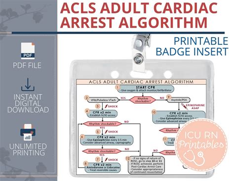 ACLS Code Algorithm 的图像结果