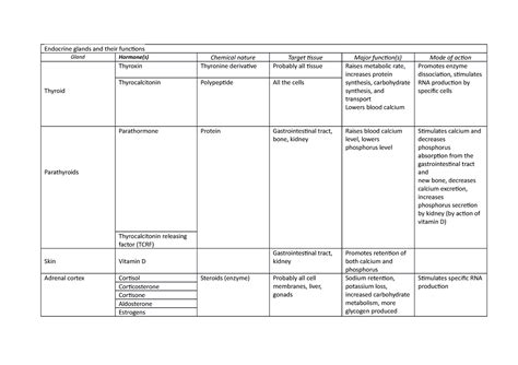 Endocrine Function - ba honours psychology - Endocrine glands and their ...
