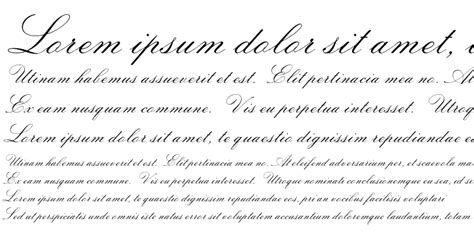 Image result for Italian Script Font