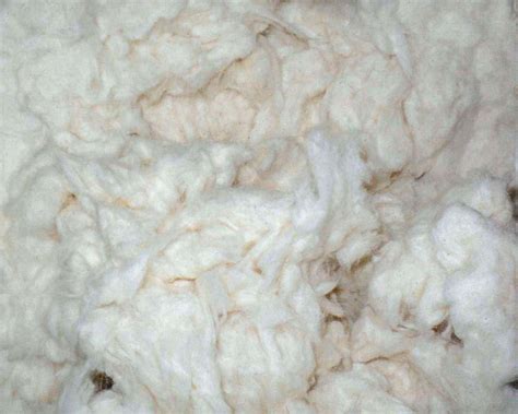 Cotton Comber Noil – Uses, Applications & Global Demand