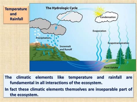 Ecosystem Structure 的图像结果