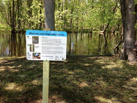 Image result for Different Research Methods