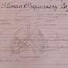 100 's of life process class 10th - Brainly.in